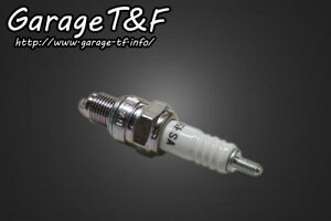 Garage T&F K[W eB[AhGt r[S250 NGKXp[NvO(C6HSA) XV250SP01