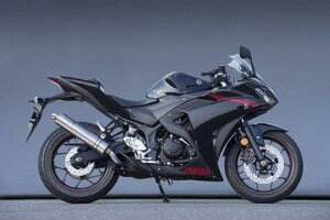 Yamamoto }g[VO 14~YZF-R25 SPEC-A SLIP-ON TI 20254-01NTN