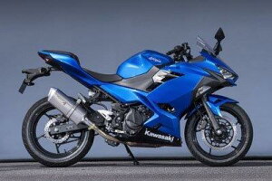 Yamamoto }g[VO 18-Ninja250 SPEC-A SLIP-ON TYPE-SA 40255-01NSA