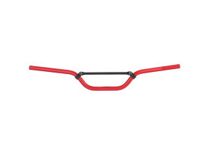 �݌ɗL�� ZETA �W�[�^ COMP �o�[ RED Mini-Trail ZE07-9933