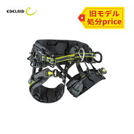 【取り寄せ品】EDELRID エーデルリッド コアTL 旧モデル 1サイズ 国内正規品【代引き不可】