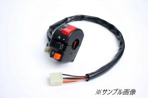 yubNtCf[IN[|zzIz ACTIVE(ANeBu)oCNp XCb`BOX XCb`KIT TYPE-2 GPZ900R()91-99/(}[VA)98-03 ZEPHYR400 91-92/750 91-03/1100 92-06/1100RS 96-02 1387402