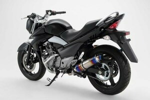 y25IN[|zzIz r[X BEAMS oCNp }t[ GSR250 R-EVO q[g`^ XbvIW RACING D324-60-P1S