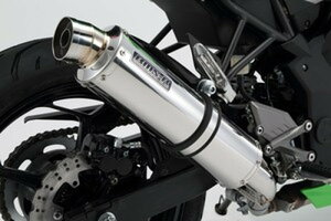 y25IN[|zzIz r[X BEAMS oCNp }t[ Ninja250SL R-EVO XeX XbvI {F 22NKΉ G422-53-P6J