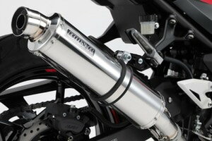 y15IN[|zzIz r[X BEAMS oCNp }t[ NINJA250 2018~ 2BK-EX250P R-EVO XbvI XeXTCT[ JMCAF/{Fؕi G430-53-P3J