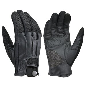 fCgi DAYTONA oCNp O[u t ̂Ђ{v(Mv) X}zΉ h[~[ bVO[u DG-012 ubN STCY 46156