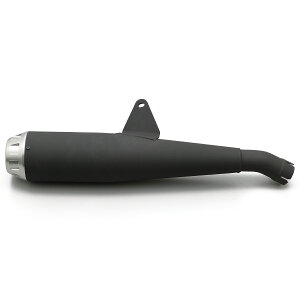 y25IN[|zzIz fCgi DAYTONA oCNp }t[ u250/ABS/S Edition Kz^Cv}t[ Vo[Gh 17216