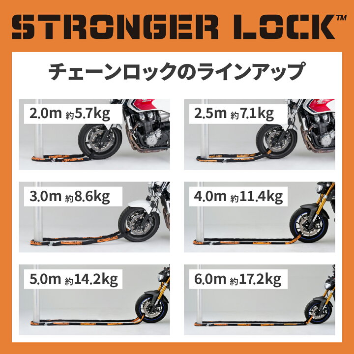 楽天市場】【クーポン配布中！】 デイトナ DAYTONA バイク用 盗難防止 