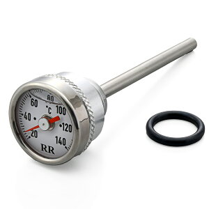 fCgi DAYTONA RR oCNp v GB350/S(21-22)p RRfBbvXeBbNv zCg 32673