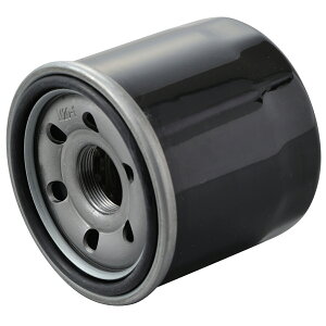 yubNtCf[IN[|zzIz fCgi DAYTONA oCNp vCX ICtB^[ XYLn VXg[250  10 35202