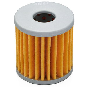 fCgi DAYTONA oCNp vCX ICtB^[ XYLn AhX110  10 35198 ʂNo:F-34