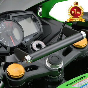 yubNtCf[IN[|zzIz fCgi DAYTONA oCNp Nvo[ Ninja ZX-25R/SEp }`o[z_[ AbVVo[ 19256