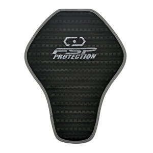 yX[p[SALEIP2{IN[|zzIz tbOVbv(Flagship) oCNp veN^[ Protector EFCuXgN`[obNveN^[ ubN t[TCY FSP-100