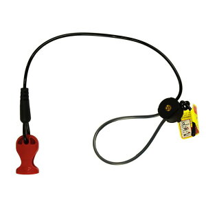 RS^C` RS TAICHI oCNp vciM [VOX[c U[X[c GAobO NXP003 T-RAPS LkC[/SRlN^[ NXP0039999