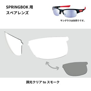 y10IN[|zzIz SWANS (XY) UVJbg TOX XyAY L-SPB-0066 CSK (NA to X[N) SPRINGBOK (XvO{bN) V[YpXyAY 3326000601161