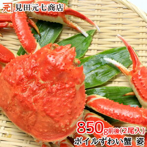 Ղ肩ɖX {C킢I 2 850gO  {C  Jj 킢I YCKj p ɂ݂ ʔ ɓ j p[eB[  O 䒆  ăMtg 