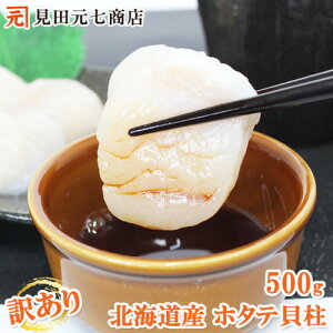 _10OFF yVX[p[SALE^kCY 󂠂蔿L 500g z^e L hgi  TCYsj ܂Ƃߔ   CY Y z^e ق g₷o