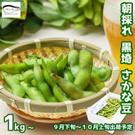 【 受注締切:9月25日 予定 】今期最後の黒埼枝豆 朝採れ 枝豆 新潟市黒埼産 さかな豆 秋豆 1kg～ 送料無…