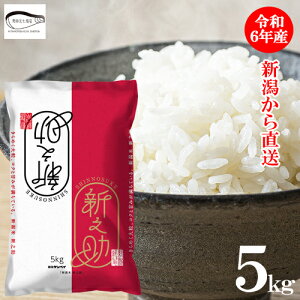 ߘa6NY  VV VY 5kg   uh   cX V  Mtg 蕨 ̓ ̂  hV̓ 퉷