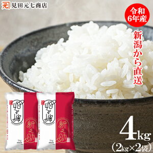 ߘa6NY V VV VY 4kg i2kg×2܁j   uh   Vv~A  V  VY Yn Mtg RVqJ 嗱 ߂Ă 蕨 