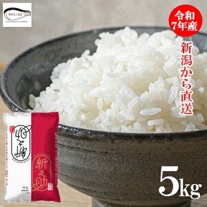 ߘa7NY V VV VY 5kg   uh   cX V  Mtg 蕨 ̓ ̂  hV̓ 퉷