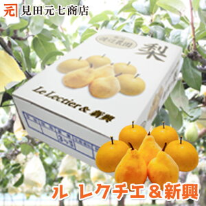 p VsY  N`G1kg V2kg v3kg  a VY  Ȃ iV aƗmґZbg m̋Mwl ̗m m V Gi N`G N`F ʕ