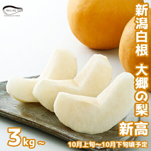 VY 勽Y V ɂ 3kgE5kg  a VY Ȃ ʕ t[c 퉷  5kg  3kg iV ɂ V V   ʎ 킽Ȃה_  Vs ÂĔ
