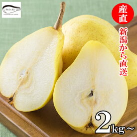 贈答用【 11月下旬より順次出荷 】新潟市南区産 ル レクチエ 2kg～ 送料無料 和梨 新潟県産 梨 なし ナシ 洋梨の貴婦人 幻の洋梨 洋梨 秀品 ルレクチエ ルレクチェ 果物【申込期間：2025年12月15日迄】
