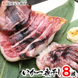 新潟名物 いか一夜干し 塩 2枚×4袋 国産原料 自宅用 おつまみ スルメ スルメイカ するめ するめいか 国産 天日塩 キャンプ飯 キャンプ 送料無料 烏賊 イカ 干物 天麩羅 天ぷら 焼くだけ 特大 大きめ 酒の肴 40代 50代 60代 70代 80代 御中元