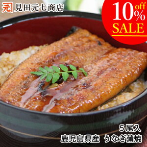 y10OFFzyVX[p[SALE_5Zbg^Y Ȃ Y  wJ 1160g  N̓ yp̉N Mtg yyVX[p[SALEԒ10OFFz