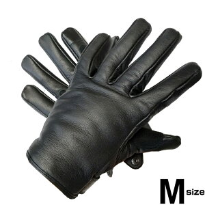 y[֑zHEAVY RrvVT[g O[u ubNgu[YIWi CfBO O[u oCN EB^[piHGG-06W-BLKjhEۉ