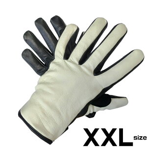 y[֑zHEAVY Rrv VT[gO[u AC{[gu[YIWi CfBO O[u oCN EB^[piHGG-06W-IVjhEۉ