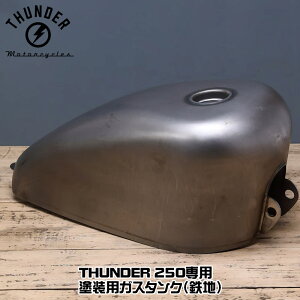 THUNDER 250pEhpKX^NiSnjbJX^p [J[IvV THUNDER MOTORCYCLES T_[250