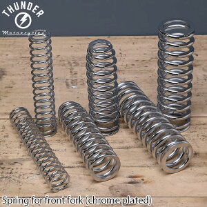 THUNDER 250p tgtH[NpXvO N[bL 1䕪bJX^p[c THUNDER MOTORCYCLES T_[250