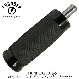 Jc@[^Cv VtgyO ubNbЊOi THUNDER MOTORCYCLES T_[250Ή