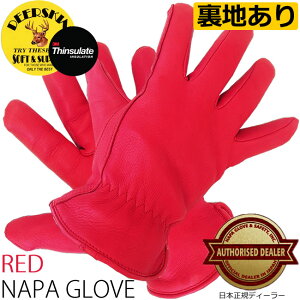 NAPA@ipO[u@vV[g/VT[g~p(bhjy800TLREDzKiIh n v  fBAXL {v { ~ oCNp  U[O[u Vv jp j