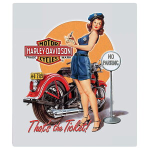 Harley-Davidson Tin Signs �e�B���@�T�C���v���[�g�@#2010511 Ticket Babe�@�n�[���[�_�r�b�h�\��