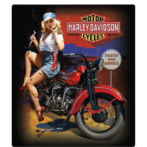 Harley-Davidson Tin Signs �e�B���@�T�C���v���[�g�@#2010401 Fixer Up Babe�@�n�[���[�_�r�b�h�\��