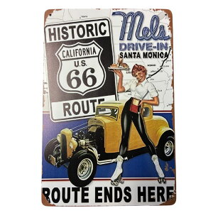 �A�����J�� �G�� �u���L�Ŕ� ���^���T�C�� �e�B���T�C���Y �T�C���v���[�g tin2-119