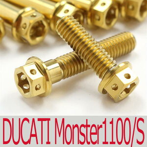 DUCATI X^[ M1100/S `^{gZbg WFl[^[GWJo[ [XXybN^Cv S[h/14{set (DU6003GGO)