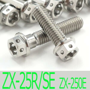 ��Ninja ZX-25R/SE ZX250E �`�^���{���g�Z�b�g �I�[���G���W���J�o�[ ���[�X�X�y�b�N�^�C�v �V���o�[/26�{set (KA2003FSSI)