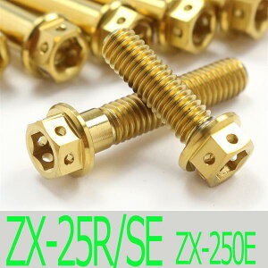 Ninja ZX-25R/SE ZX250E `^{gZbg WFl[^[GWJo[ [XXybN^Cv S[h/9{set (KA2003GGO)