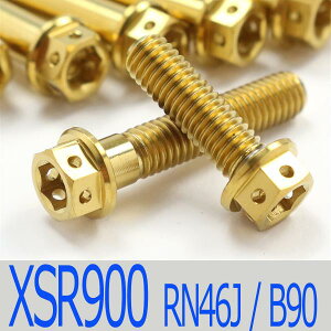 XSR900 RN46J/B90 `^{gZbg Nb`GWJo[ [XXybN^Cv S[h/11{set (YA5004CGO)