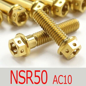 ��NSR50 AC10 �`�^���{���g�Z�b�g �N���b�`�G���W���J�o�[ ���[�X�X�y�b�N�^�C�v �S�[���h/12�{set (HO1008CGO)