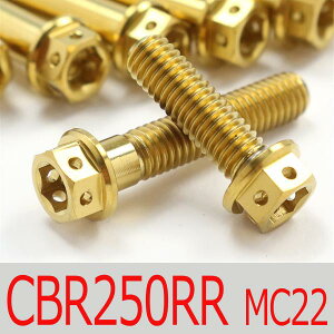 ��CBR250RR MC22 �`�^���{���g�Z�b�g �N���b�`�G���W���J�o�[ ���[�X�X�y�b�N�^�C�v �S�[���h/13�{set (HO2005CGO)
