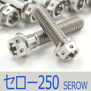 ���Z���[250 DG11J/17J/31J �`�^���{���g�Z�b�g �W�F�l���[�^�[�G���W���J�o�[ ���[�X�X�y�b�N�^�C�v �V���o�[/9�{set (YA2006GSI)