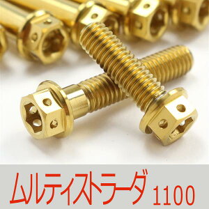 DUCATI eBXg[_1100/S `^{gZbg ^C~OxgGWJo[ [XXybN^Cv S[h/7{set (DU6002TMGO)