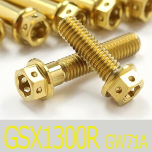 GSX1300R nuT GW71A `^{gZbg X^[^[GWJo[ [XXybN^Cv S[h/10{set (SU6005STGO)