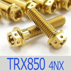 ��TRX850 4NX �`�^���{���g�Z�b�g �I�C���|���v�G���W���J�o�[ ���[�X�X�y�b�N�^�C�v �S�[���h/7�{set (YA5001OIGO)