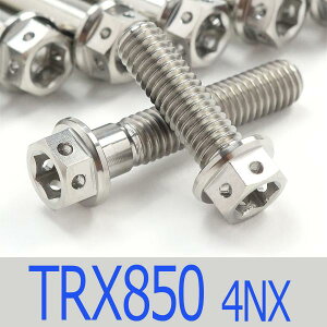 ��TRX850 4NX �`�^���{���g�Z�b�g �I�C���|���v�G���W���J�o�[ ���[�X�X�y�b�N�^�C�v �V���o�[/7�{set (YA5001OISI)